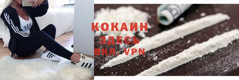 где найти   Адыгейск  Cocaine Fish Scale 